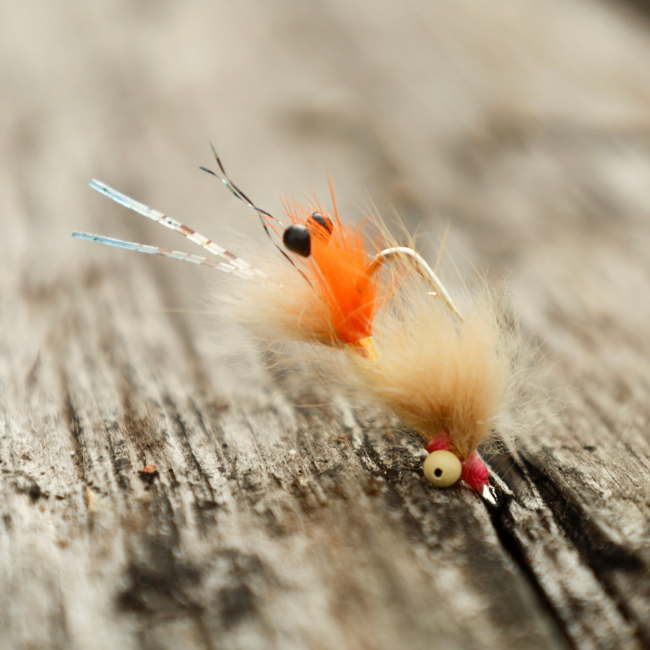 Baudoux Spawning Shrimp - Bead Chain