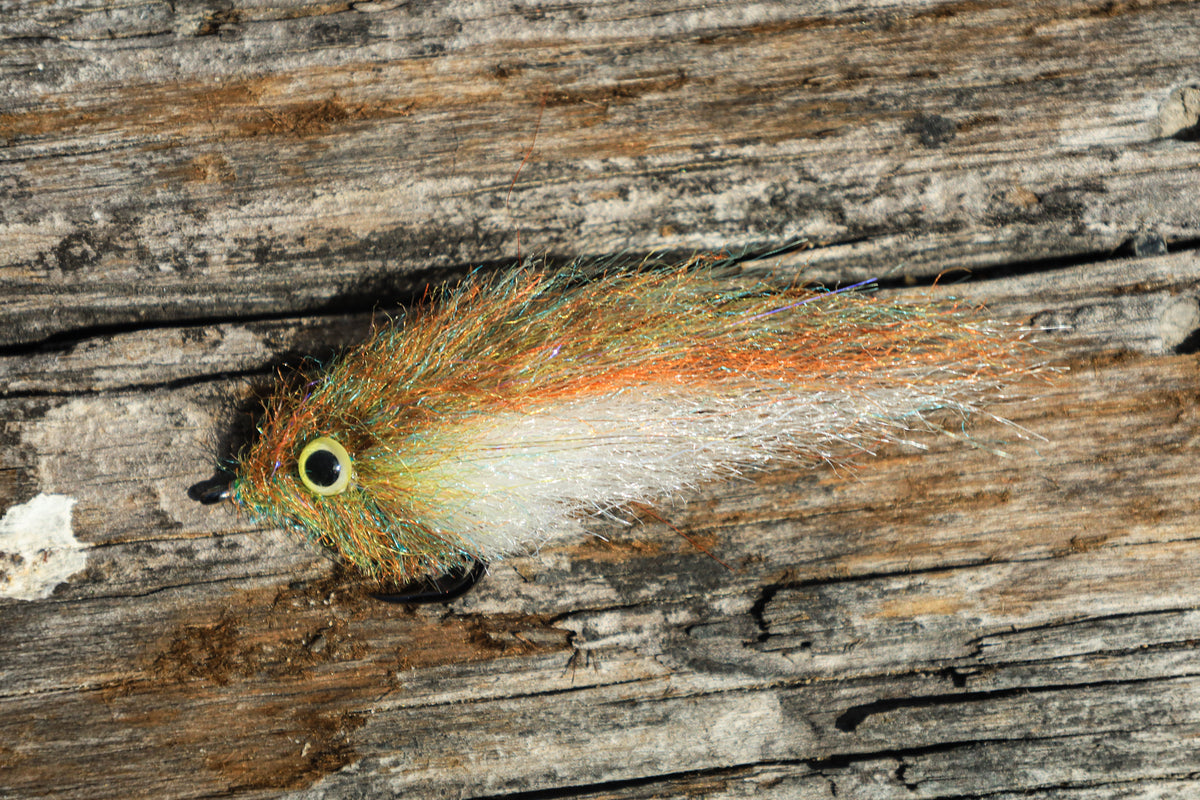 BC EP Baitfish (Everglades Color)