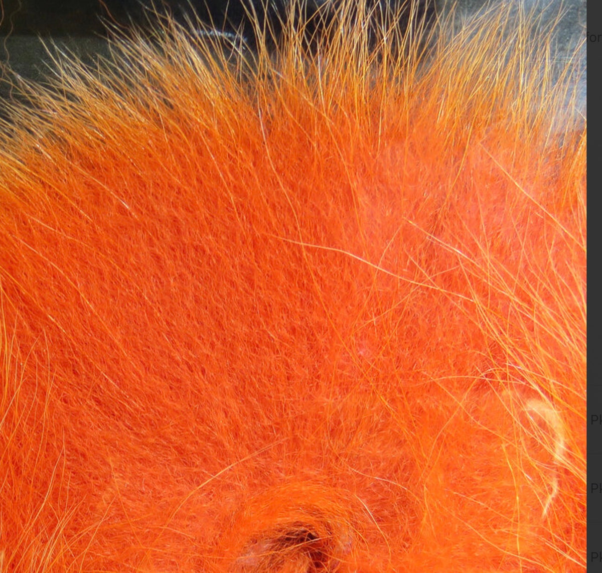 Arctic Fox Tail Hair