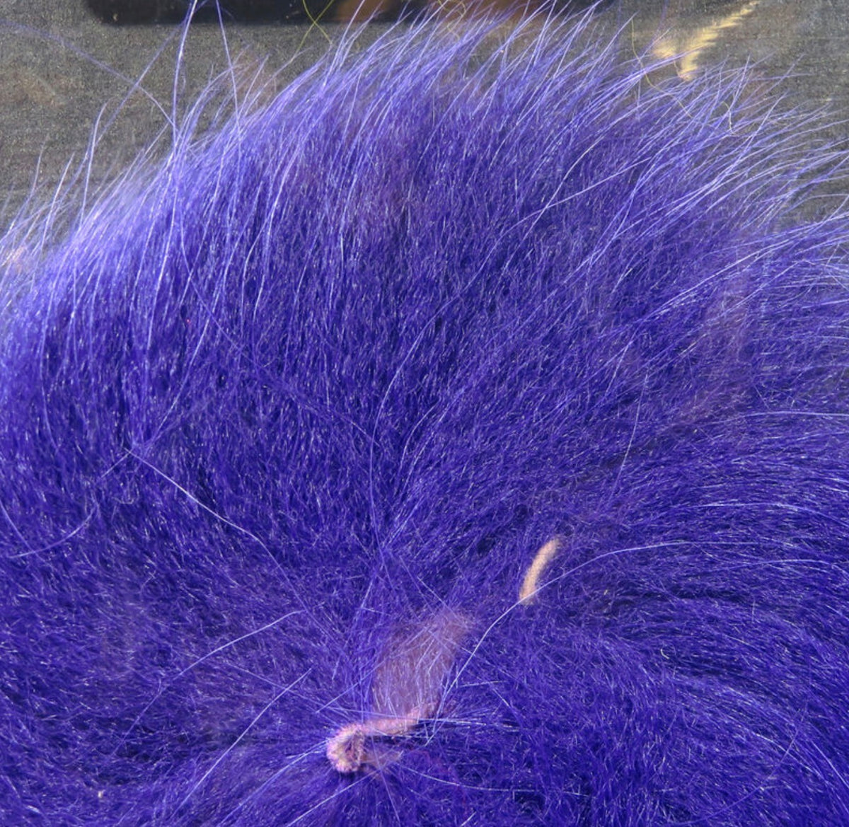 Arctic Fox Tail Hair