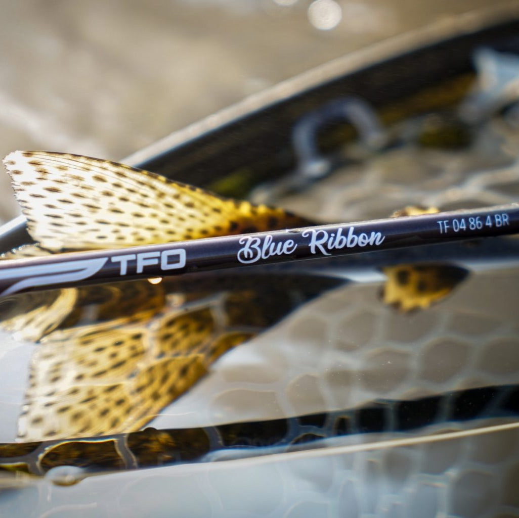 TFO Blue Ribbon