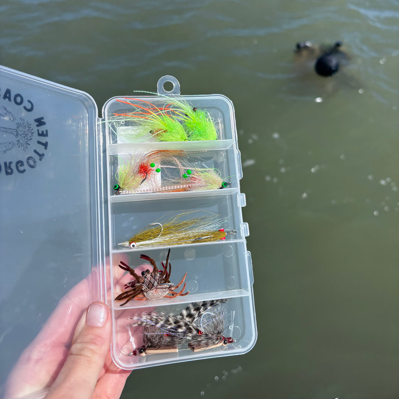 Forgotten Coast Tripletail Box
