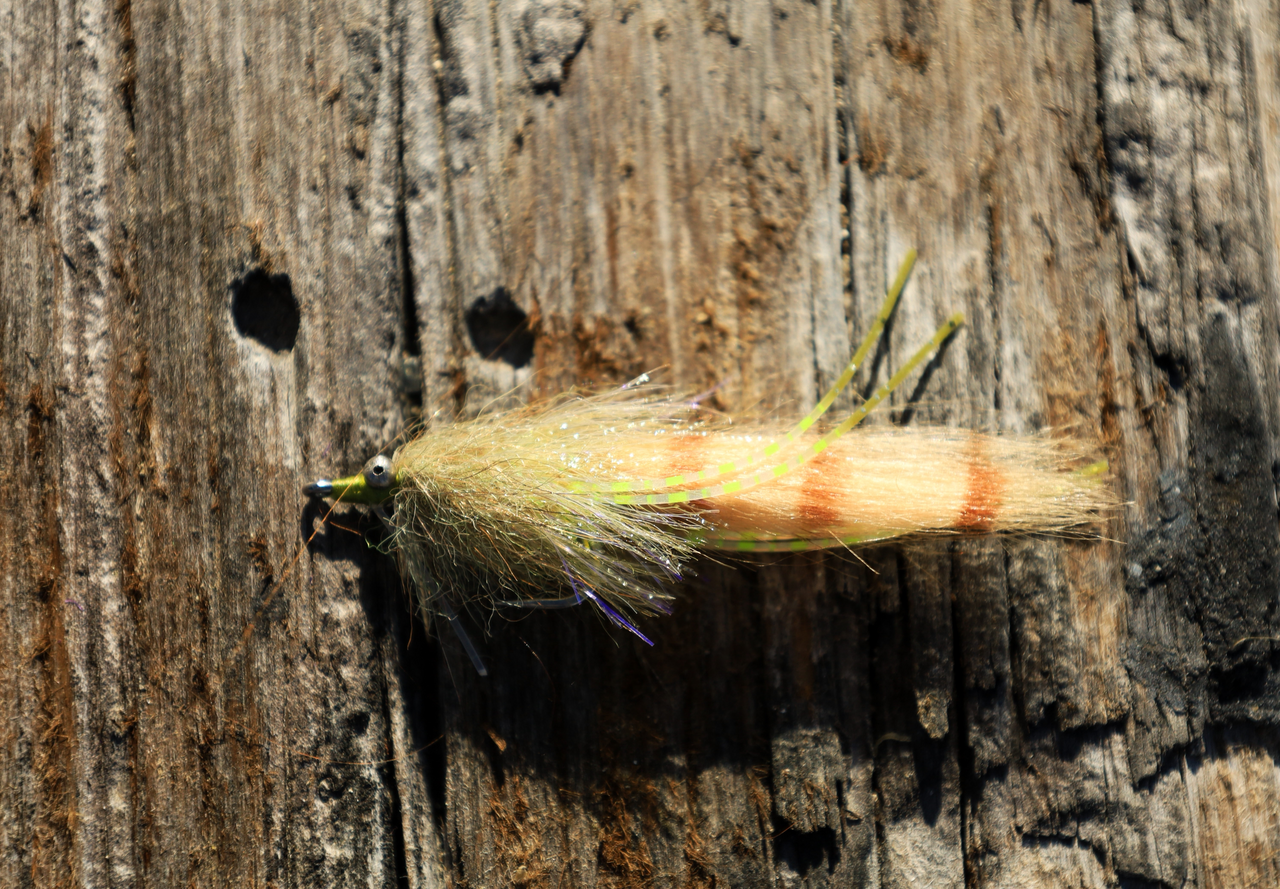 Skinny cracklin olive/chartreuse/tan- size #4