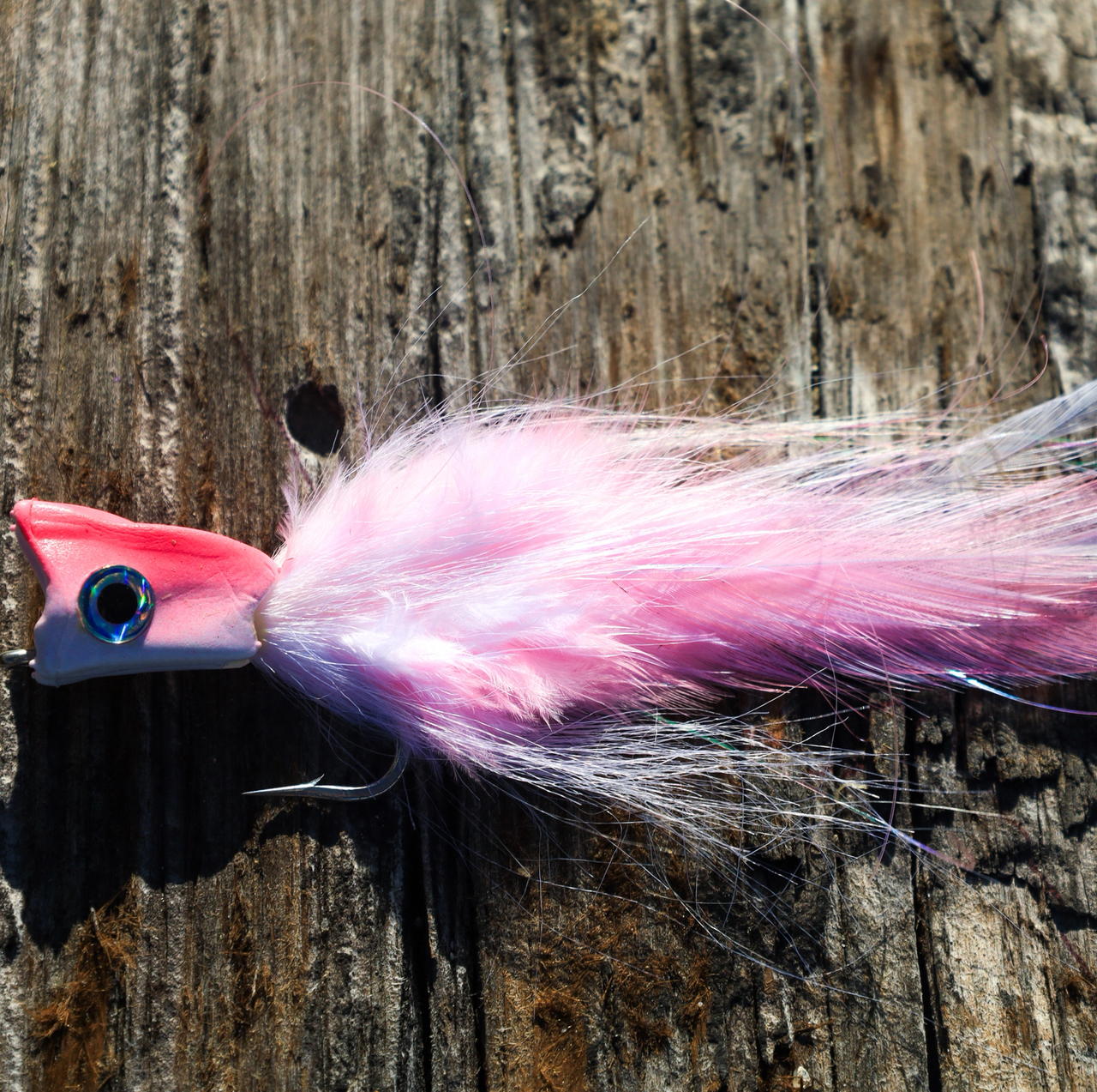 GH- Echo Sounder Popper