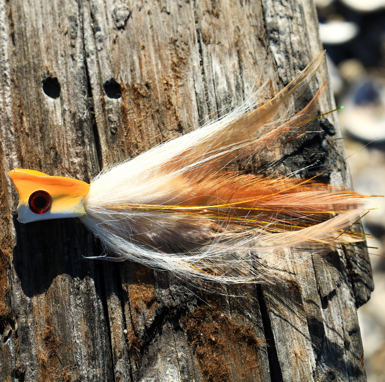 GH- Echo Sounder Popper