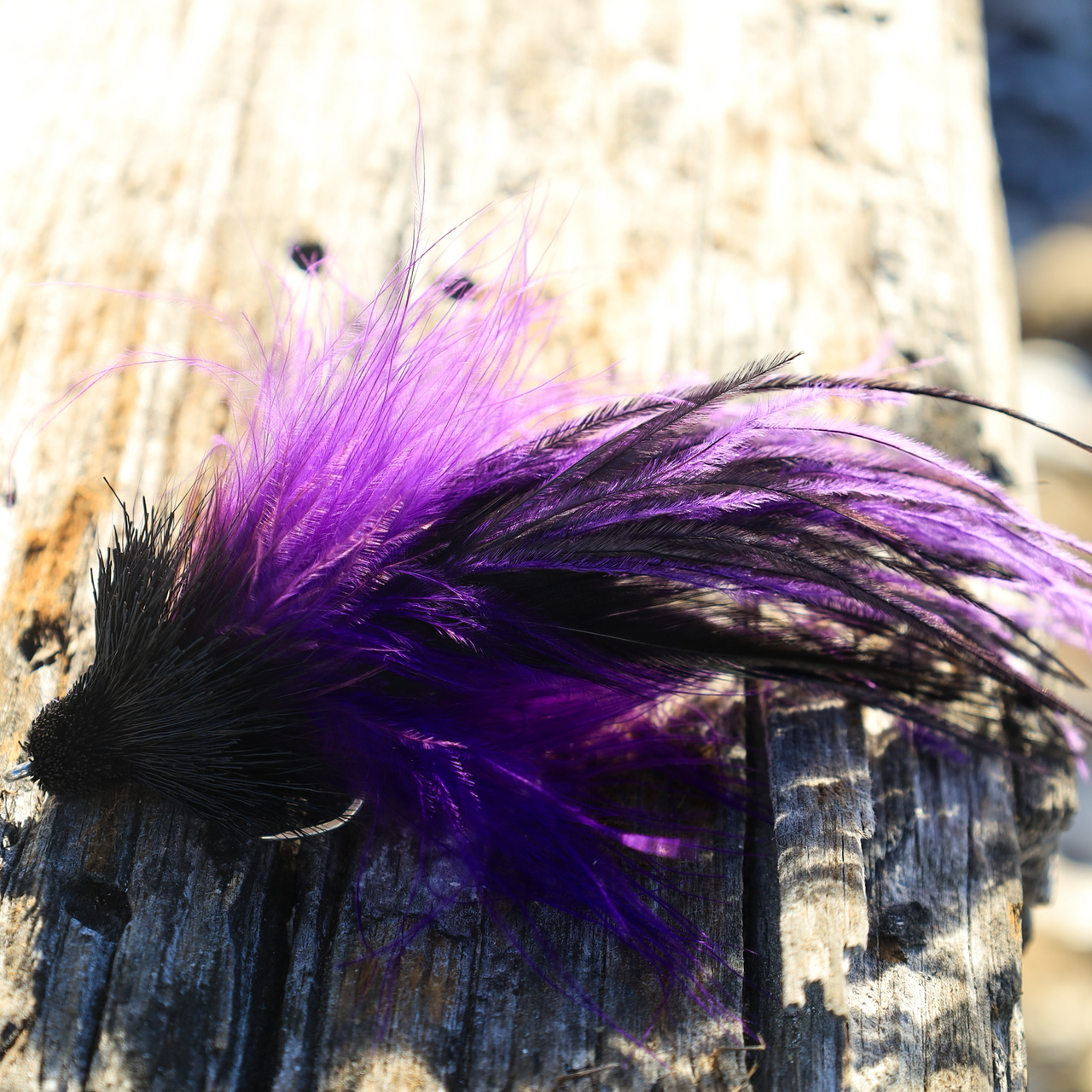 BC Tarpon Snake Black/Purp