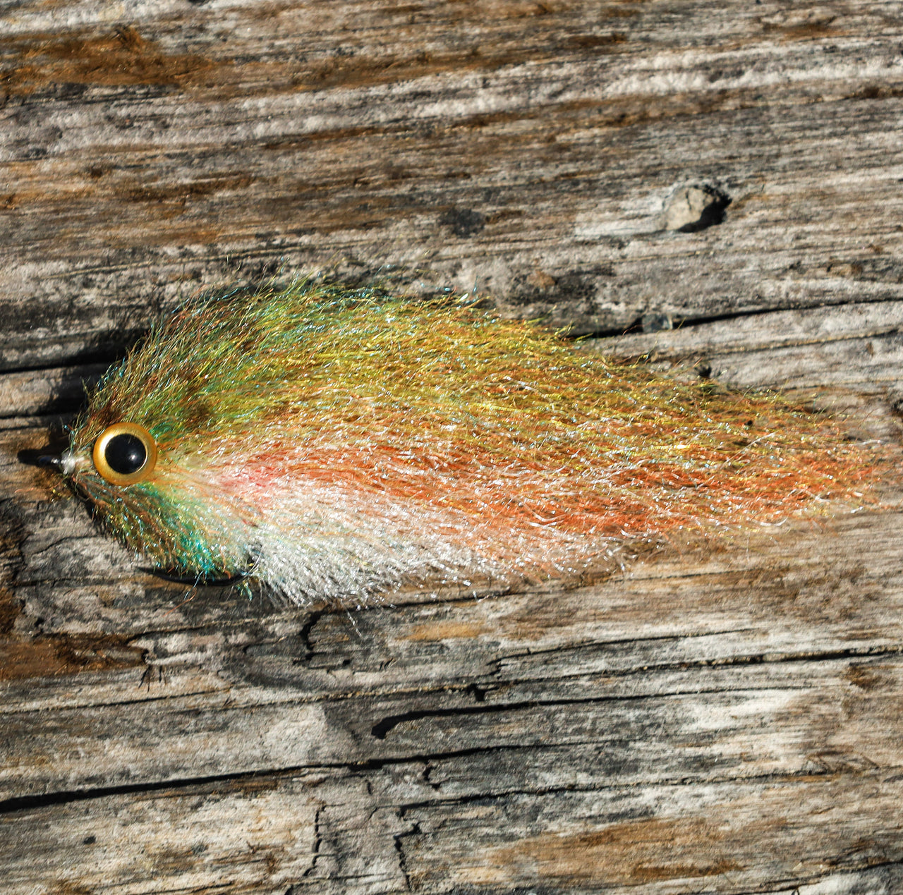 BC Mangrove Baitfish