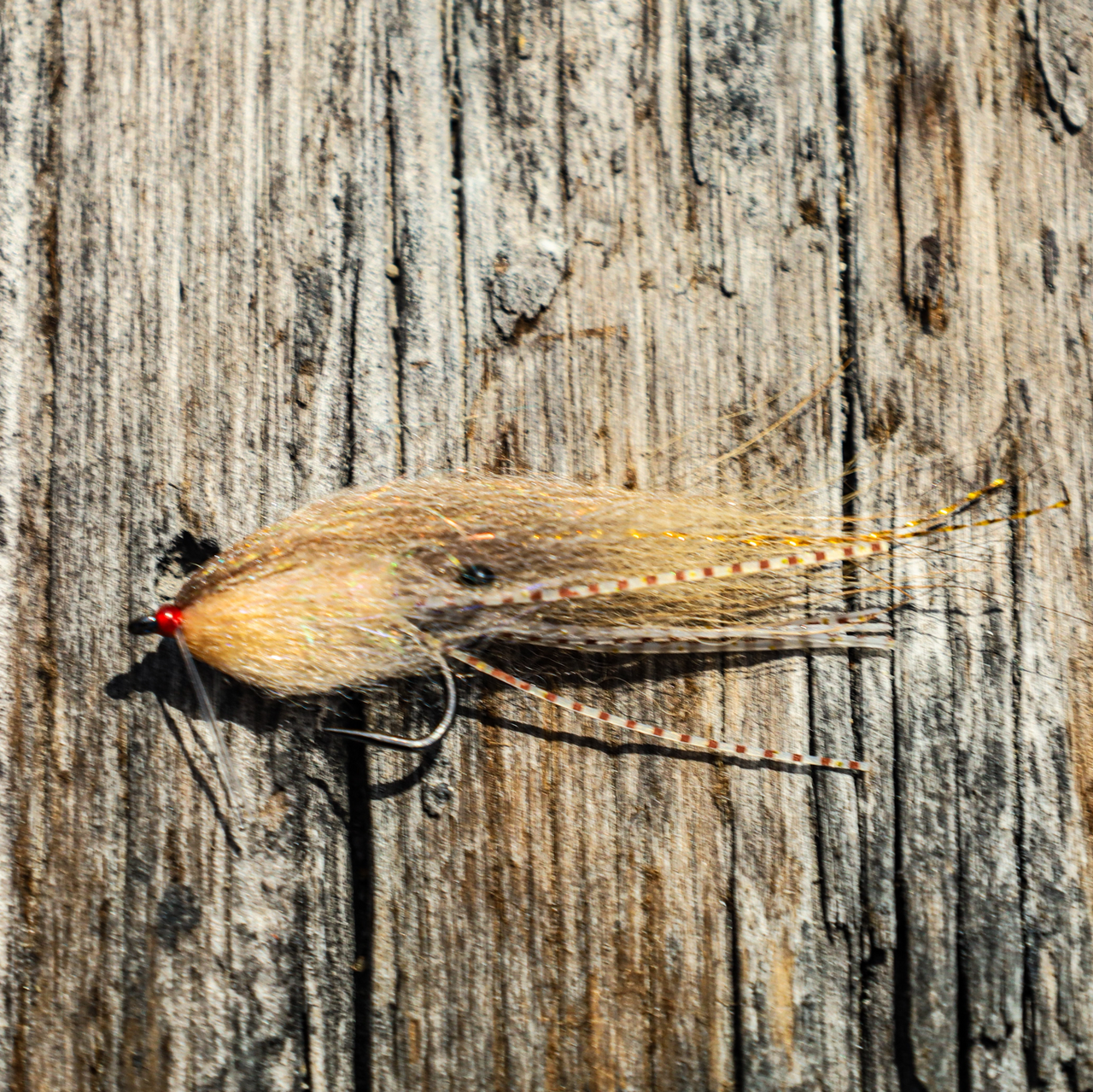 JO Backcountry Fly