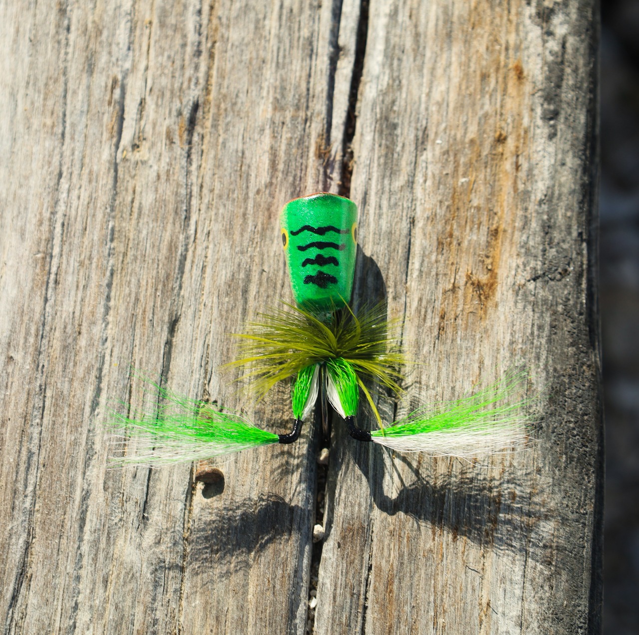 Frog Flies