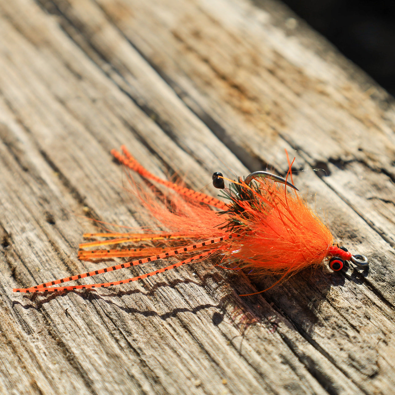 AR Legtastic Critter