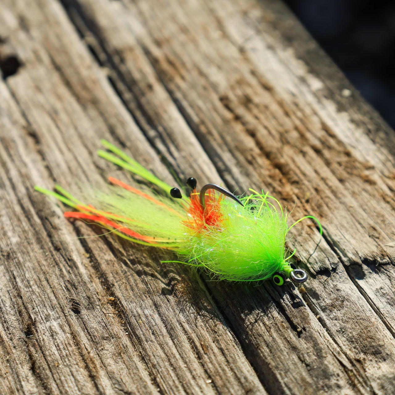 AR Legtastic Critter