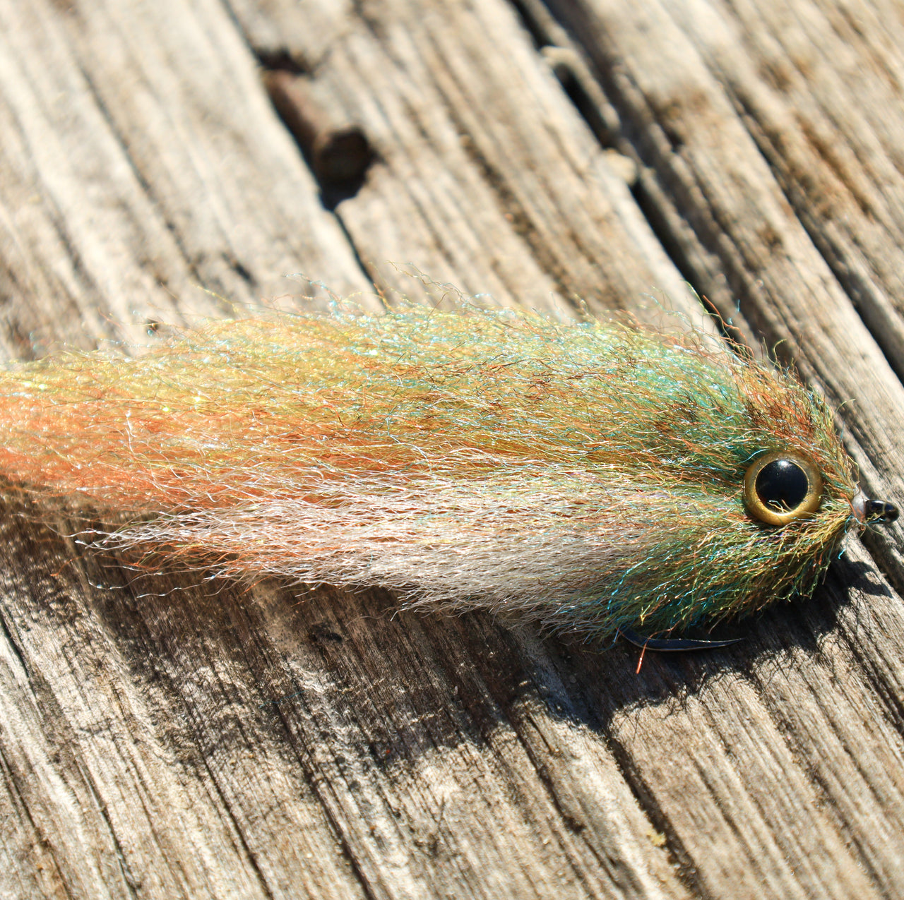 BC Mangrove Baitfish