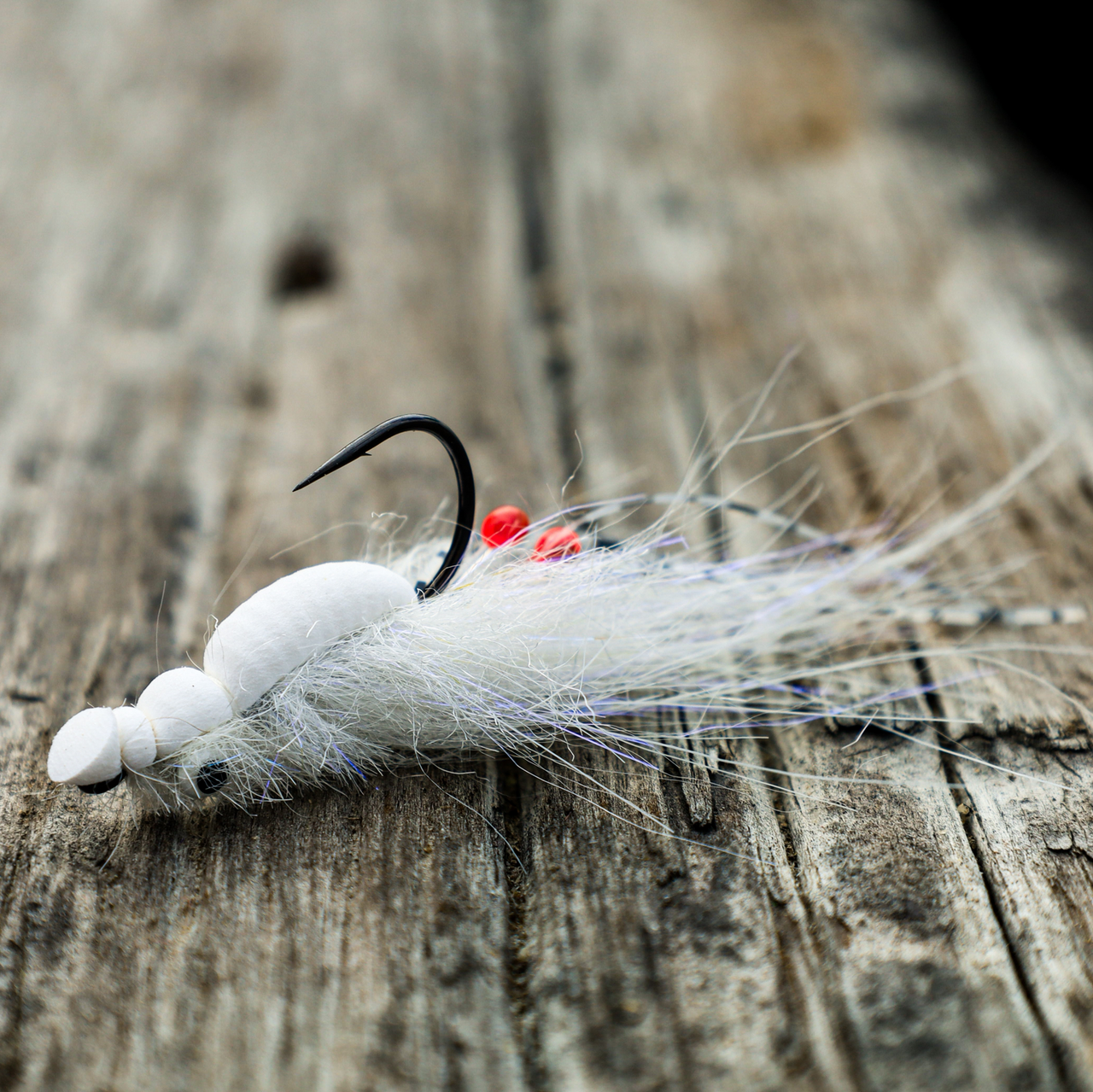 Looper Shrimp