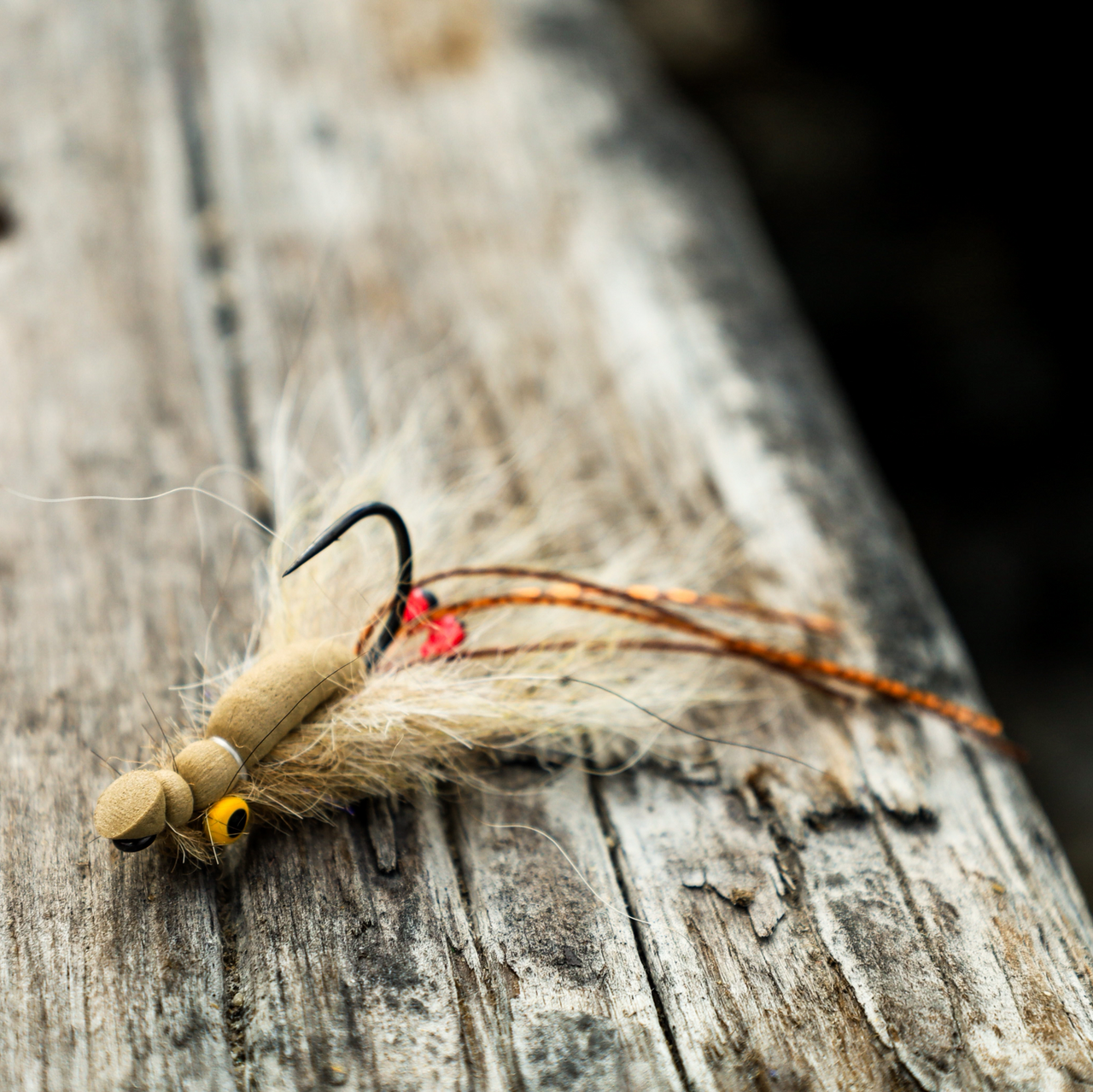Looper Shrimp