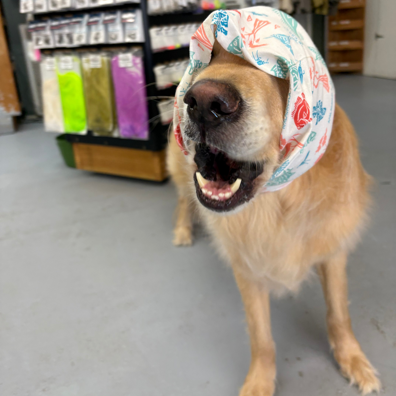 FCFC X Oona Seas Buff