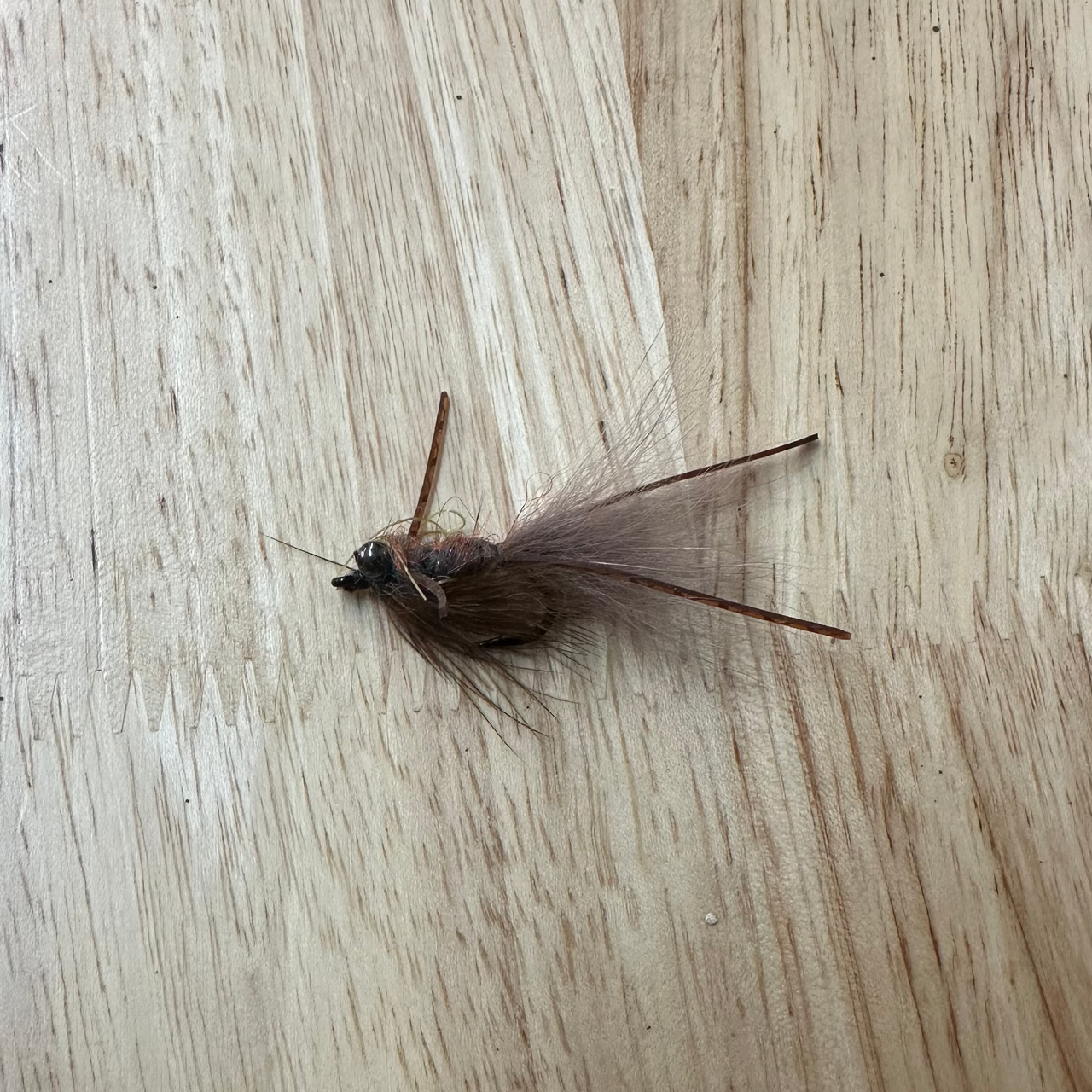 Looper Carp Fly