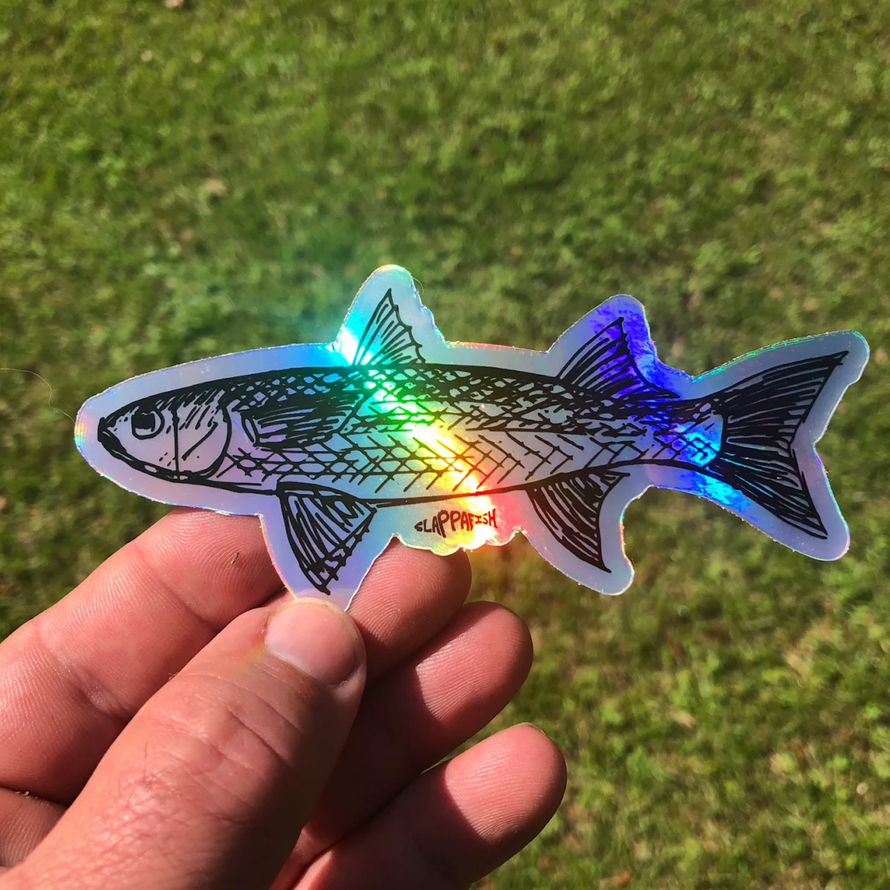Slappafish Mullet