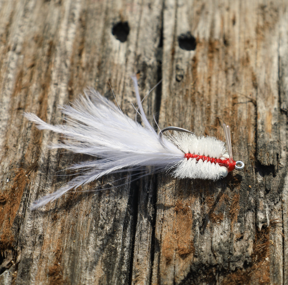 RP Redfish Toad - White