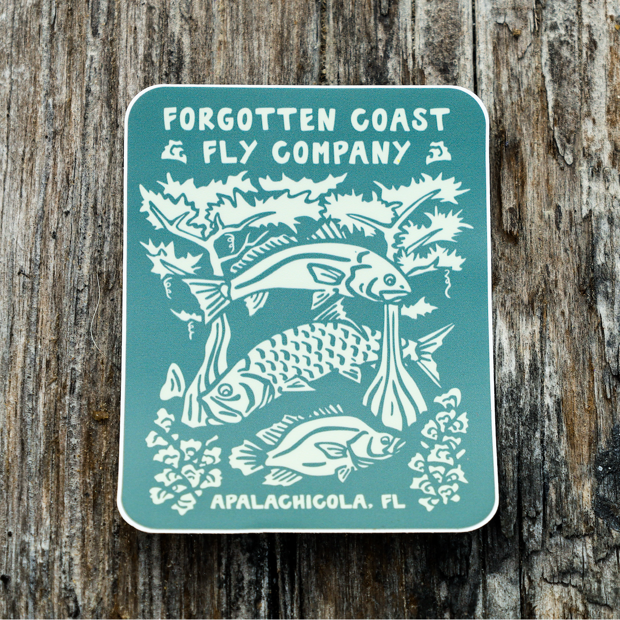 FCFC X @OONA.SEAS Large Sticker