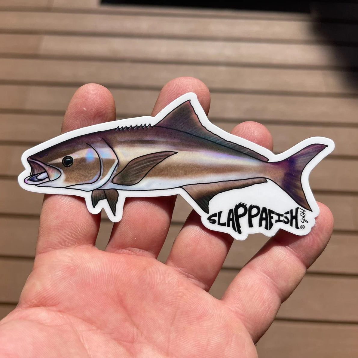 Slappafish Cobia