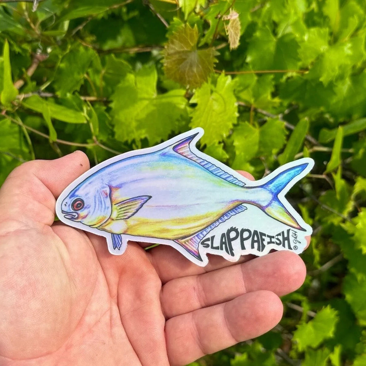 Slappafish Pompano