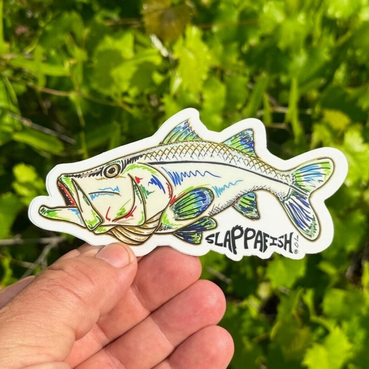 Slappafish - Snook