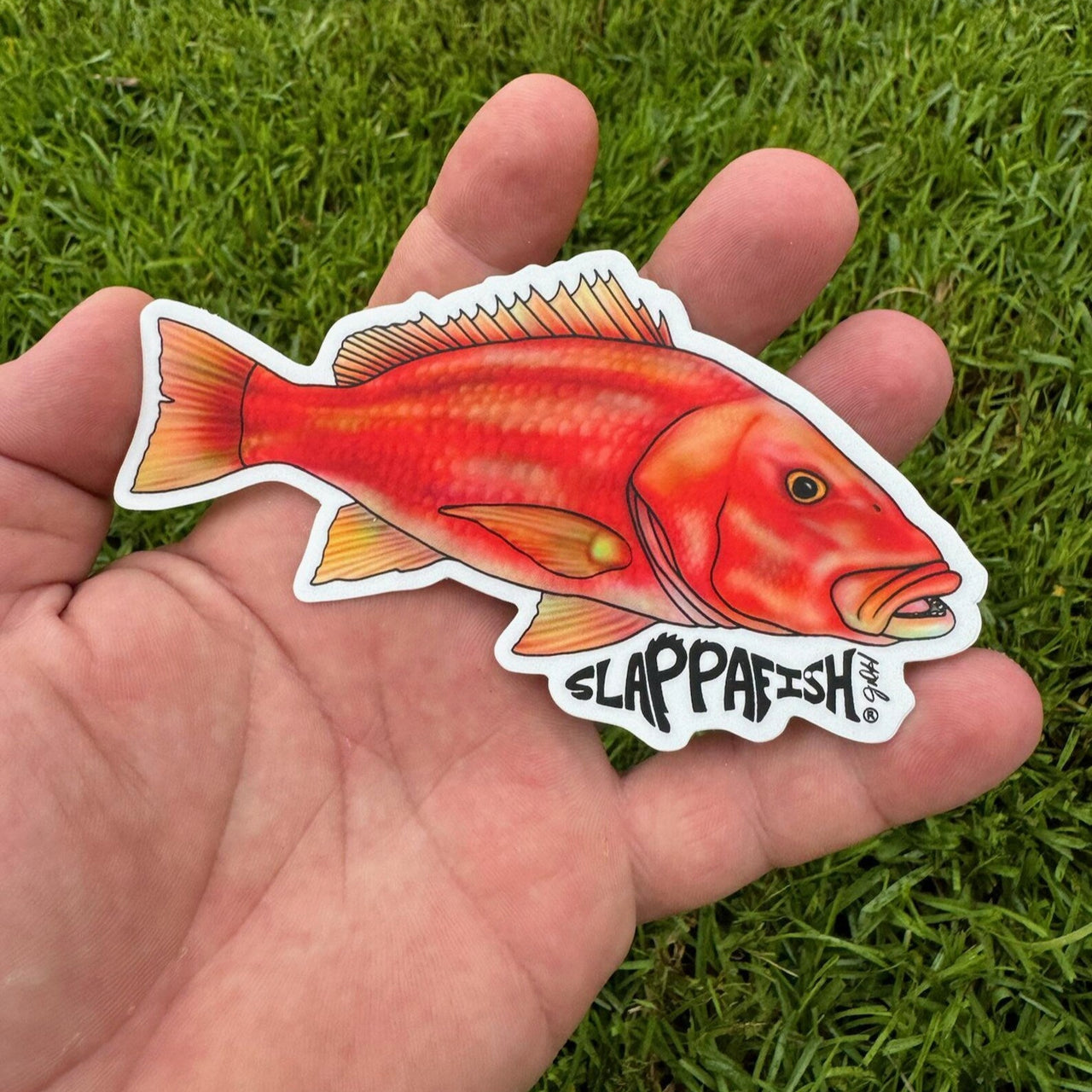 Slappafish - Redsnapper