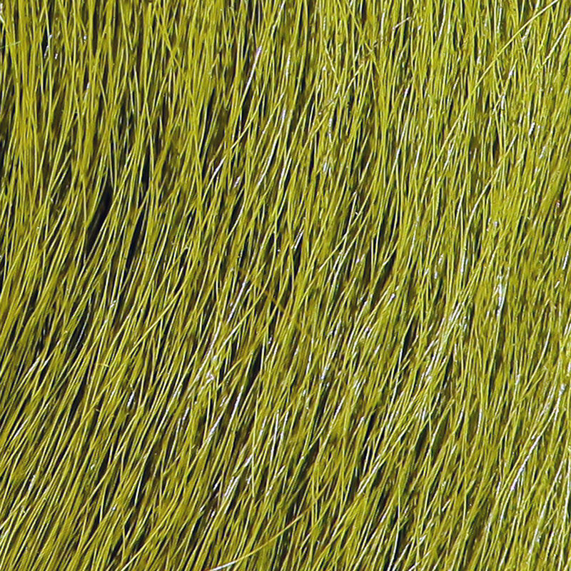 Bucktail